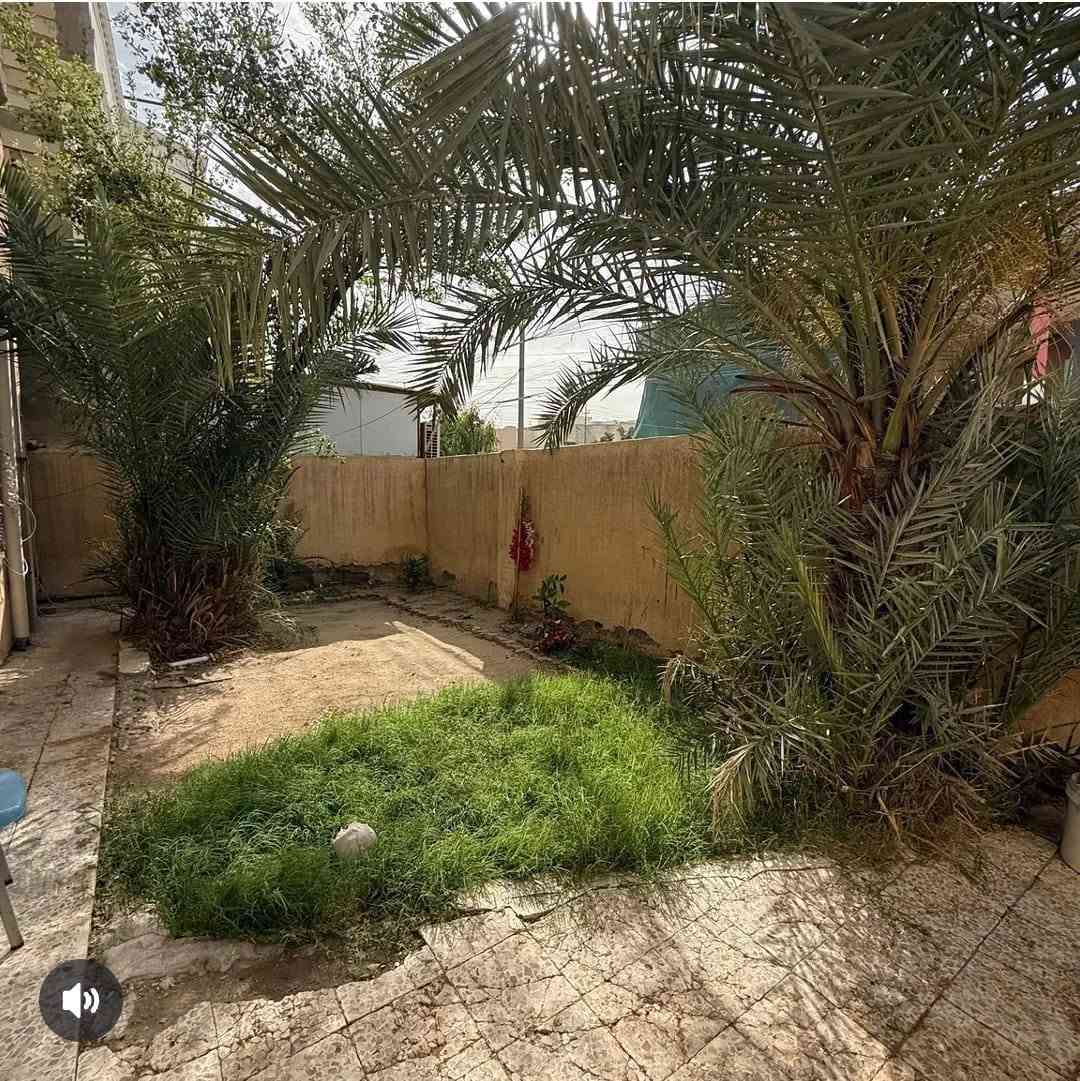 البصرة الحكيمية • ٣٠٠م • طابو صرف