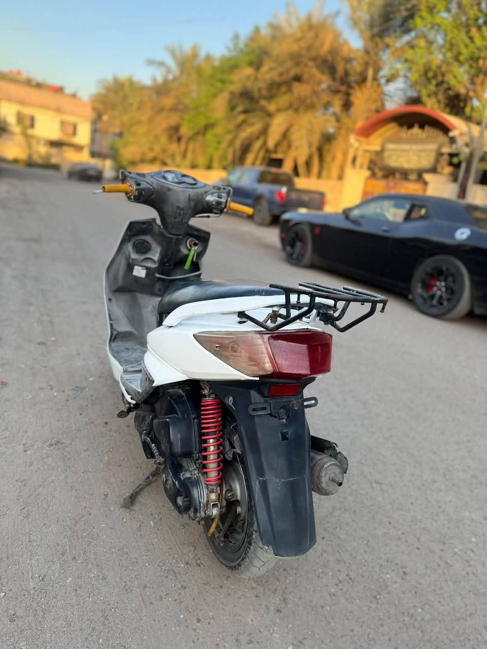 سكنس فحل كفاله عامه  ممفتوحه تاخذها من باب البيت وجيب لفيتر ليعجبك نقصها باتري مكاني بغداد حي اور *********** السعر 550
