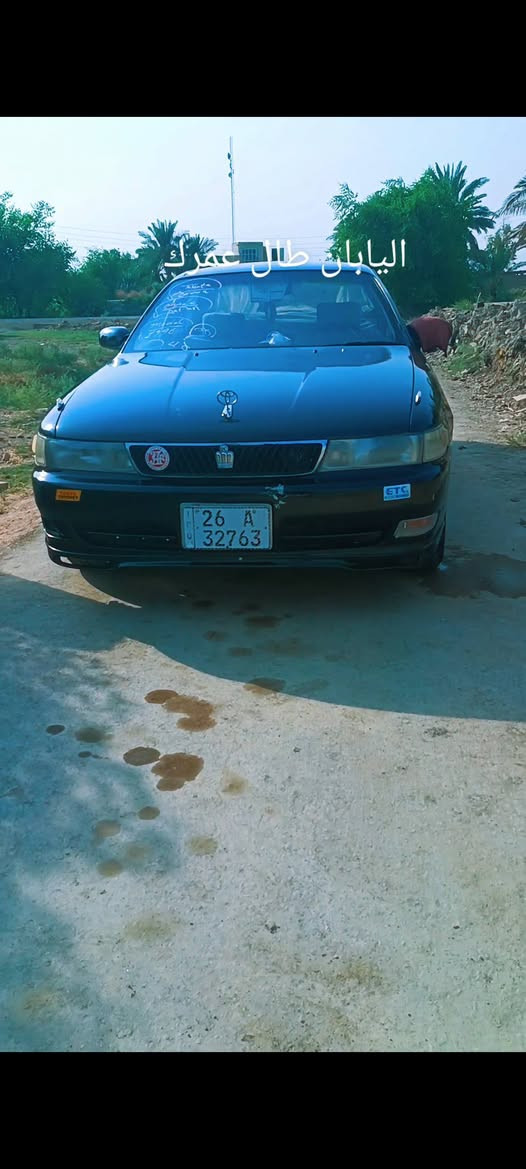 سيزر • النجف • ياباني