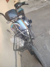 شغال • شرط • مراوس
