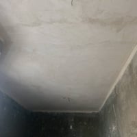 لباخ • متفرغ • اعمال بناء