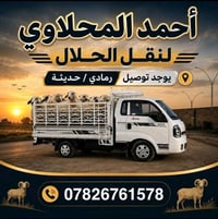 كيا • نقل وتوصيل • رمادي