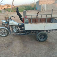 ستوته • تعمير جديد • دوانم يم حولي