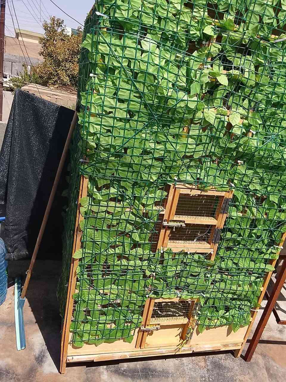 قفص كبير طول 2متر عرض 1متر نزال 70سم 
برهم طيور حب و كوكتيل وبلابل وغندور جديد او تفصال شغل درجه اؤله سعرها 80بي مجال 
أو عندي قفص اصغار مال بلبل أو كناري 2سعرها 10الف 
للتواصل واتساب *********** عنؤان كركوك حي عسكري
