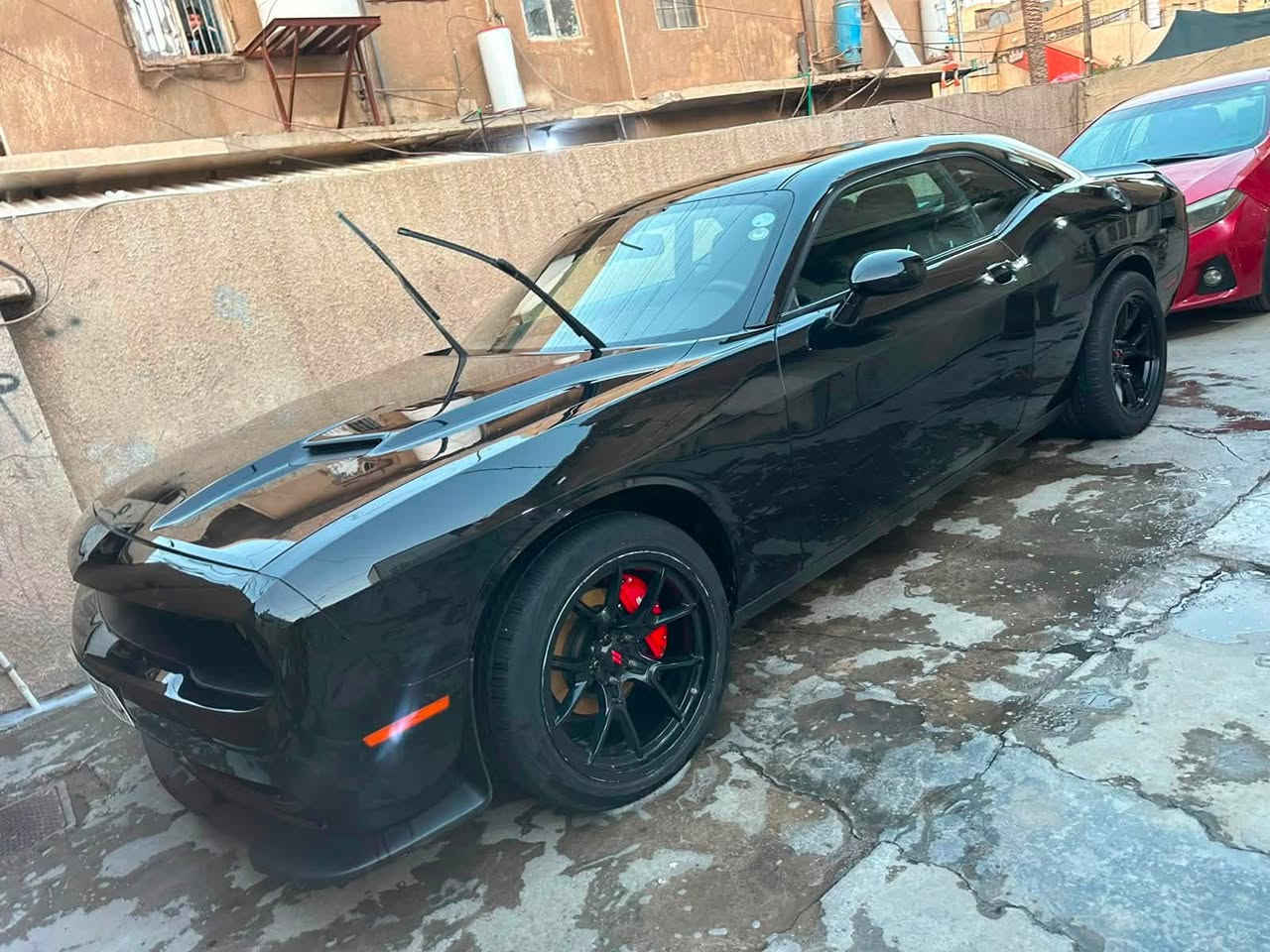 جالنجر 2023 sxt اخر اصدار
3600
ويل  دايمون بلادي 
راديتر هيمي 
حادث دعامية و تاير صدر ايسر 
السيارة بيهة بارد خفيف 
سوارات و عدسات عين الشيطان الوان متغير
ماشية ٣٣ الف 
***********
