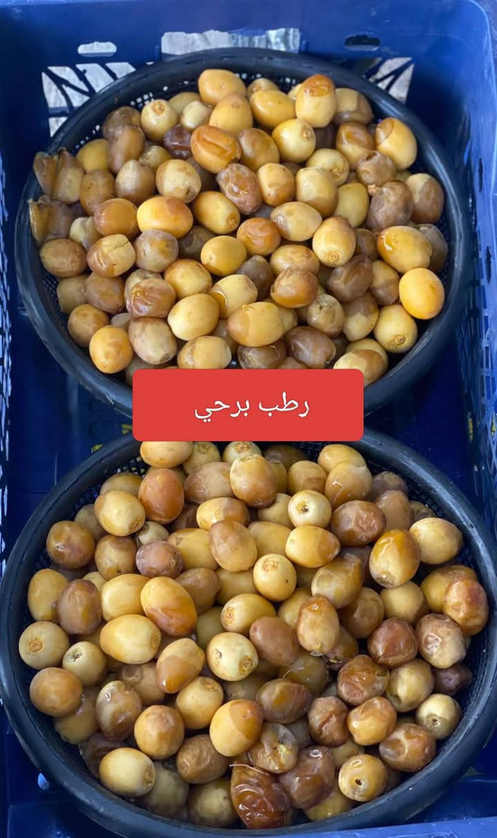 رطب برحي • شمام عسل • عنب كشمشي