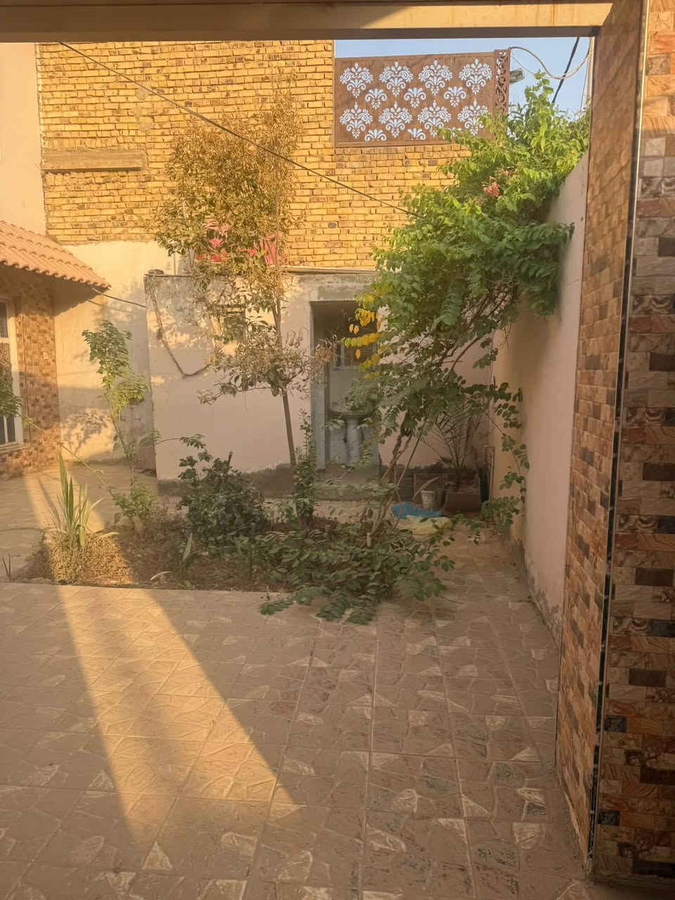 حي الثقافه • ٢٣٠م • طابو