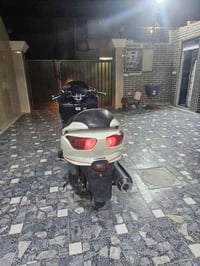 فورزا • ٠٨ • نظيفة