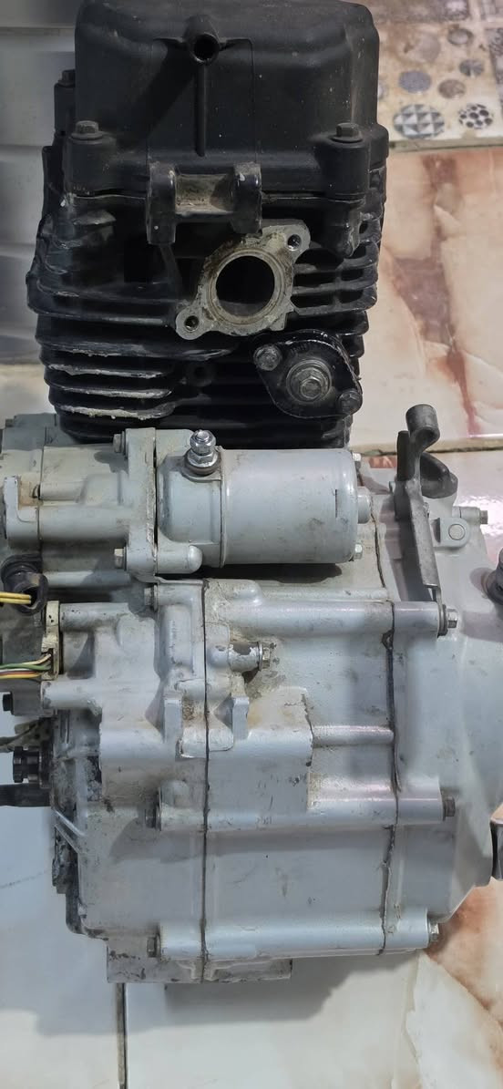 بوكسر • نضيفه • تجفيت
