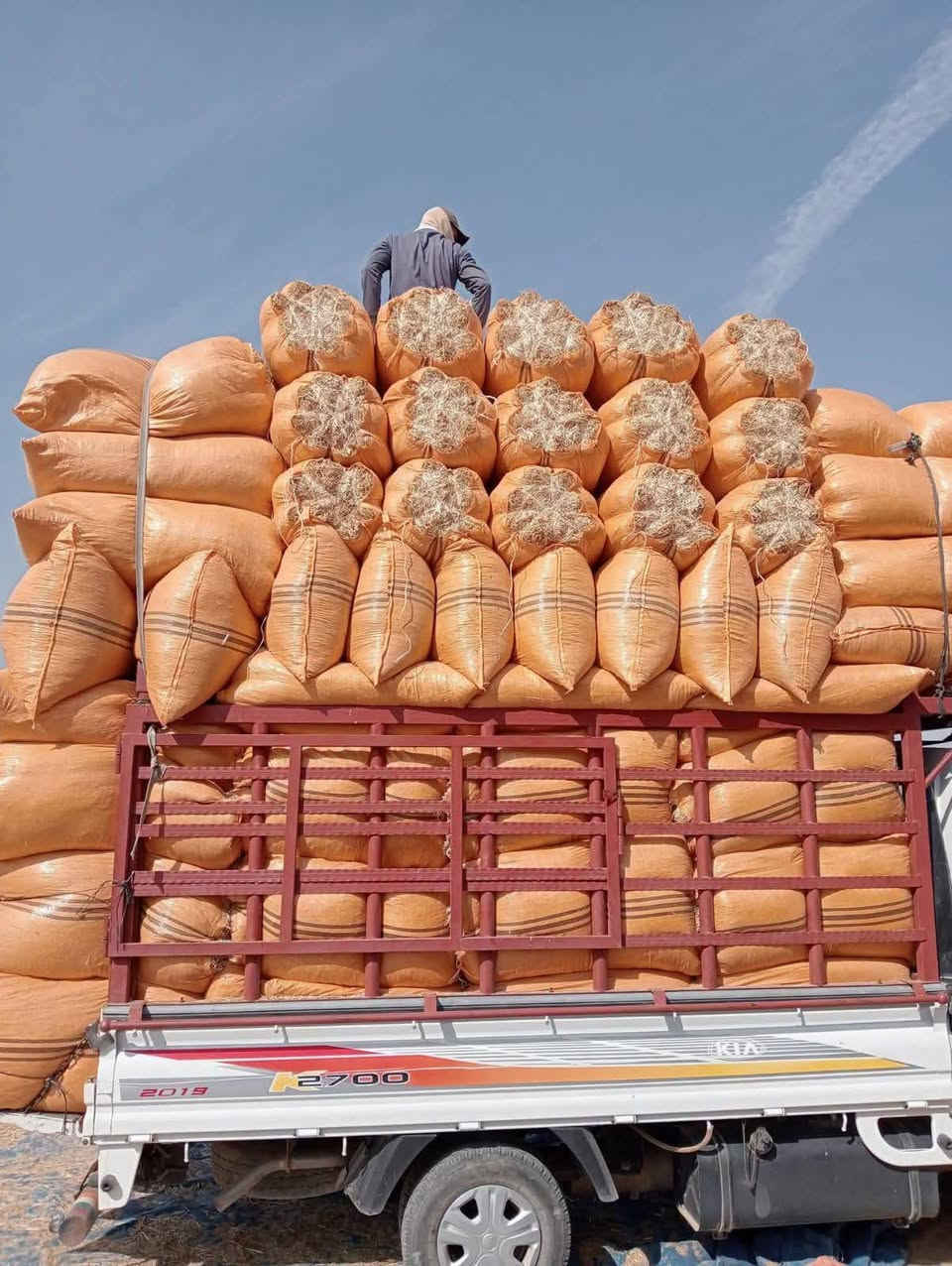 تبن للبيع درجه اوله مكفول من كلشي بسعر رخيص اتصال*********** ***********و مراسله خاص يوجد جميع القياسات توصيل مجاني (بابل ديوانيه طويريج بدر وجصان  كربلاء واسط بغداد )
