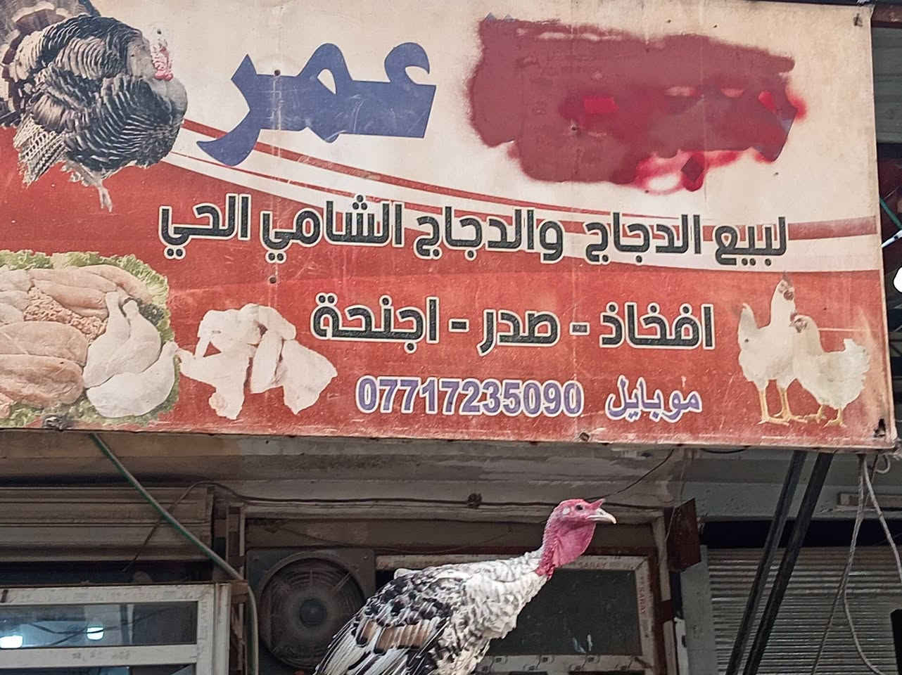 دجاج طازج • محل عمر ديمي • بعقوبة التحرير