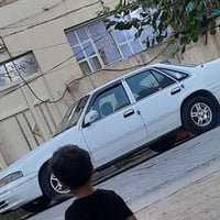 فراشة • موديل ٩٦ • بالنجف