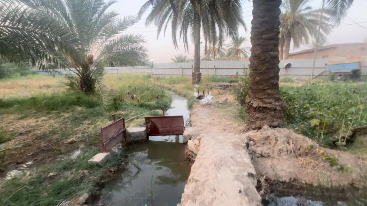 دار سكن قاطين  مع ارض زراعية للبيع 
مو بيت عباره عن فيلا ماشاء اللّٰه يتكون من ٤ غرف منام وديوان
جنس العقار عقد سند ٢٤ 
#المساحه الكليه دونم و ٤٠٠ 
يحتوي القاط الاول على غرف منام 2 واحدة منها تحتوي على سويت 
و استقبال كبير بمساحة ٤*٨
و مطبخ 
ومنور 
وصاله و وصحيات داخلي وخارجي
وكراج سياره يسع 5
وحديقة امامية بمساحة كبيرة 
اما القاط الثاني يحتوي على غرف منام ٢ 
بستان بمساحة كبيرة 
يحتوي على مخازن عدد ٢ 
وحقل للأبقار بمساحة كبيرة 
ويحتوي على ٥٠ نخلة ٣ منها بربن والباقي خستاوي وزهدي 
وتين بني مسلم 
وموطورات ٢ للسقي واحد على النهر حول البيت 
والثاني على البزل وقريب جدا من البيت 
العنوان : كربلاء _ الحر _ السوادة _ قرب سيطرة البزل 
موقع راقي •
جميع الخدمات متوفره ماء كهرباء شارع تبليط 
شغل البيت كله درجة أولى مع مولدة شارع 
السعر ١٧٠ وقابل للتفاوض 
للاستفسار الاتصال  ***********
