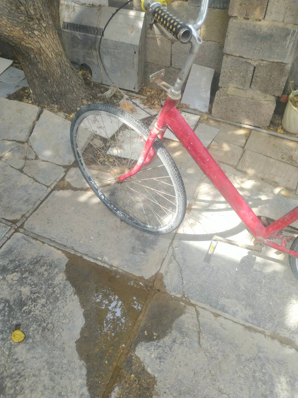 بناتي • حجم ٢٧ • ستاند ما يثبت