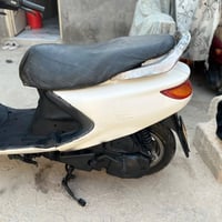 فراشة فحل • ما بيها تبخير • دبلات جدد