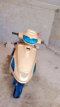 فراشه فحل • ذهبي • خان النص