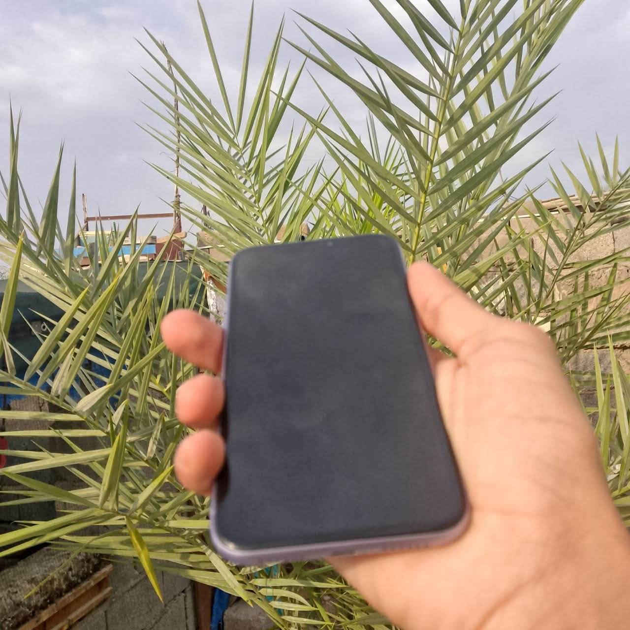 ايفون 11 العادي (بلاااااادي) يعني مابدل بي اي قطعه
فيس ايدي شغال  تكنيك  اداء سرعه  صور فيديو الخط شغال 
ملاحضه مع الكارتونه الاصليه واير الشحن فقط 
سعر 250 الف وبي مجال حك جيه
مكاني كوت حي  الشهداء 
رقمي ***********

نص مكتوب في الصور:
- 7:46 حول الاسم iPhone إصدار iOS 27.0 اسم الطراز iPhone 11 رقم الطراز MWLX2AH/A الرقم التسلسلي DX3D63KMN739 انتهت صلاحية التغطية PARTS_AND_SERVICE_HISTORY الأغاني 0 الفيديوهات 110 الصور 966 التطبيقات 18 السعة 64 غ.ب.