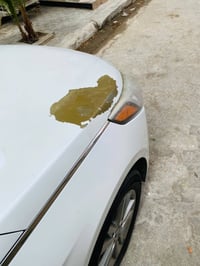 سوناتا • ٢٠١٧ • وارد كندي