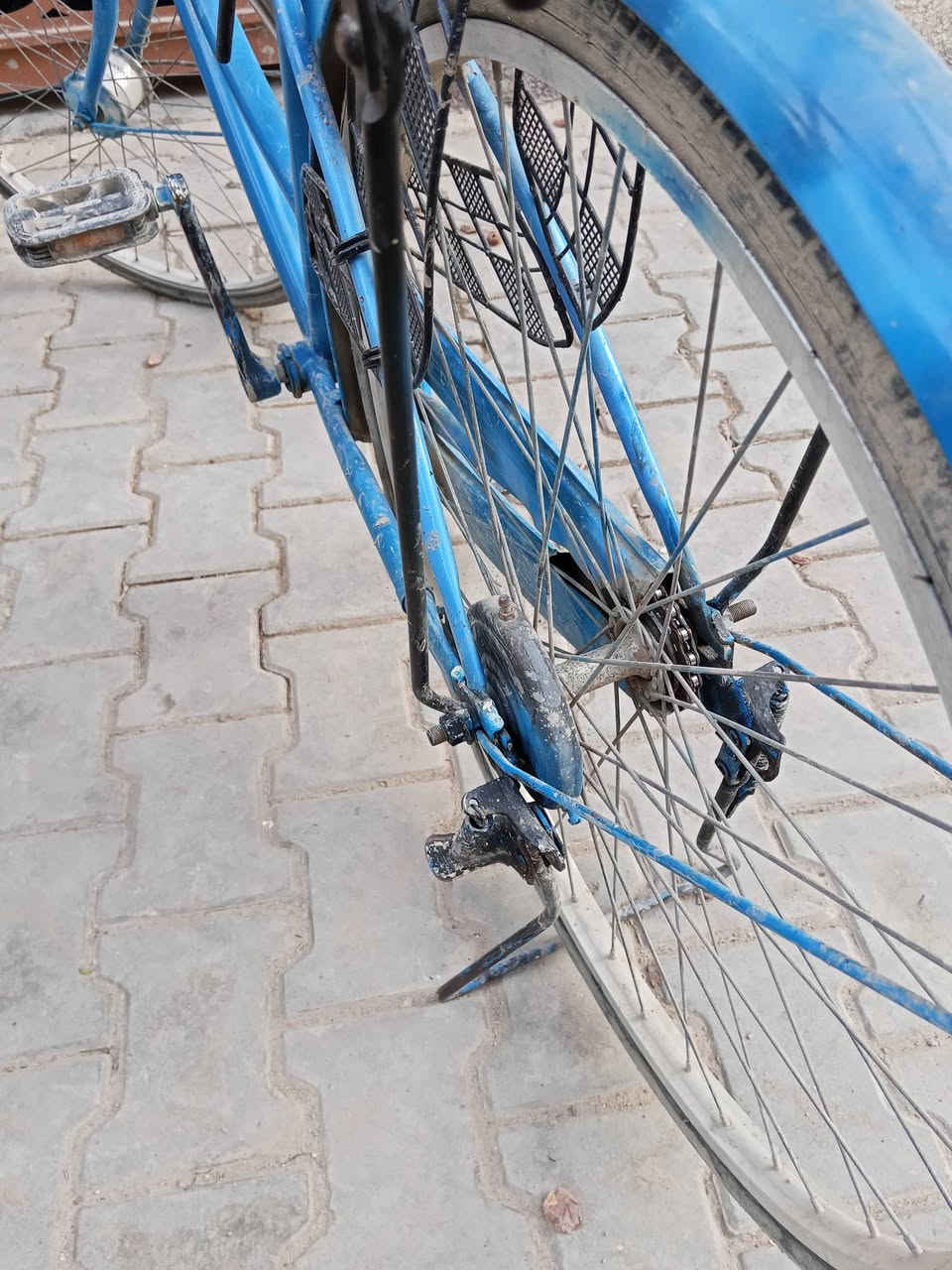 مكان دوره • دراجة