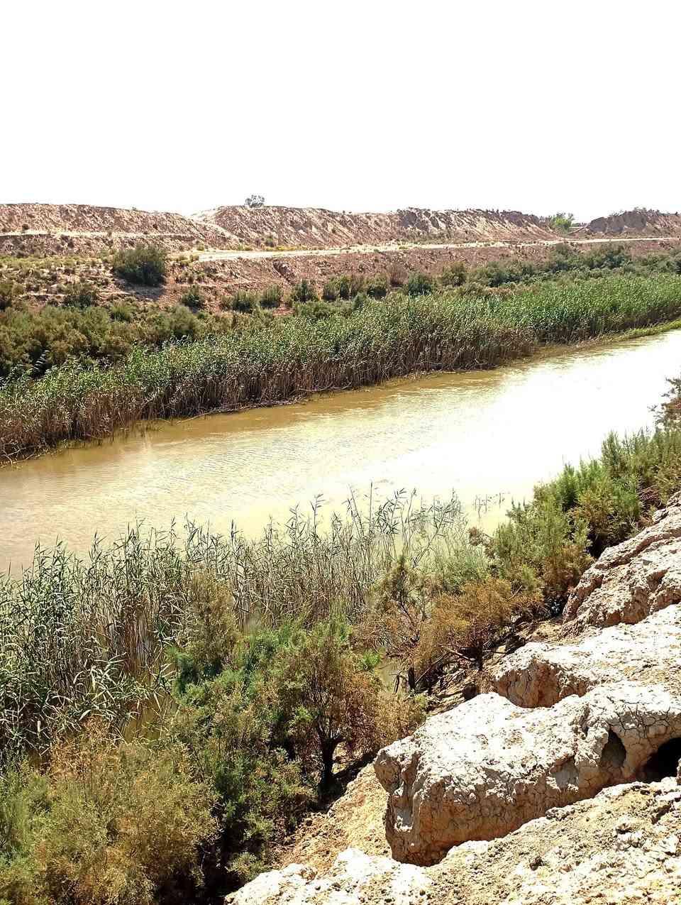 بين الحفار والجذع • ١٢٧ إلا ربع دونم • حصة ماء