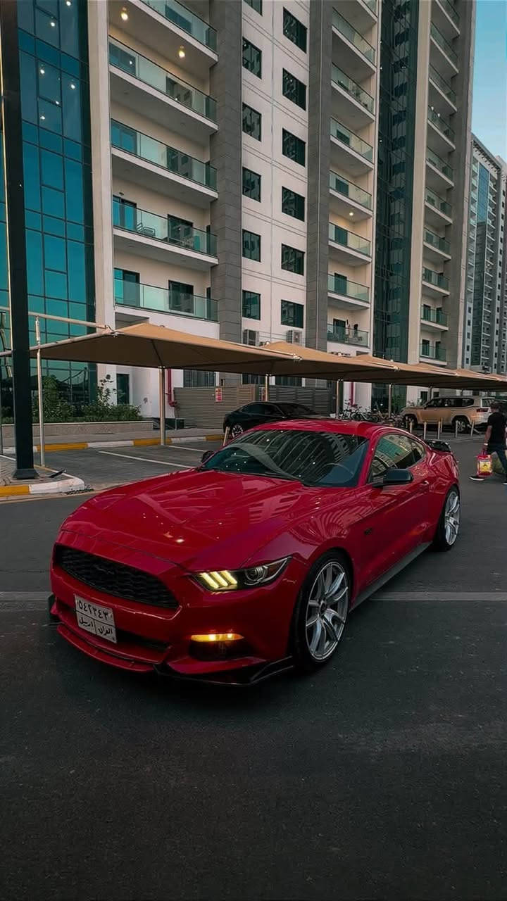 موستنك 2017  
ستة سلندر 
3700
رقم اربيل تحويل مباشر 
ماشيه 85 ميل ببدون ايرباك
بدون لغد وشواصي 
كير محرك كهربائيات كله بحاله شركة 
سياره مال جناي بدون اي تزويد 
حجر بيئه بلادي 
عليه ادامة كامله بلاكات نوزلات كامل وياله جدد هم
ضرر بسطي دحجه بالجاملغ خلفي
بيه ب عراق رصعتين ب باب فقط و ركن بنيد شخط ع كد شبر مصيوغ ع كده 
كلشي موضح بمنشور  
سياره بلواقع احلى وبلعافيه ع ياخذة مكاني اليرموك 

***********
