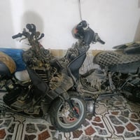 سكنس • كابريتر • ياباني