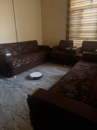 تخم قديم يفيد للمكاتب