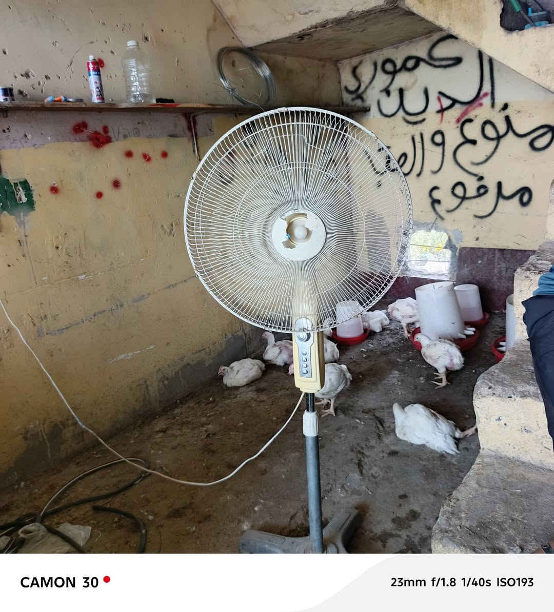 السلام عليكم عند محل مال دجاج كامل لبيع بس تجي وتبسط واجار مدفوع لحد ١٠/١ وسعره مناسب  موقعه بحي المعلمين على الشارع العام ***********

نص مكتوب في الصور:
- CAMON 30 23mm f/1.8 1/67s ISO233
- CAMON 30 23mm f/1.8 1/40s ISO193
- CAMON 30 23mm f/1.8 1/60s ISO198
- CAMON 30  23mm f/1.8 1/120s ISO213