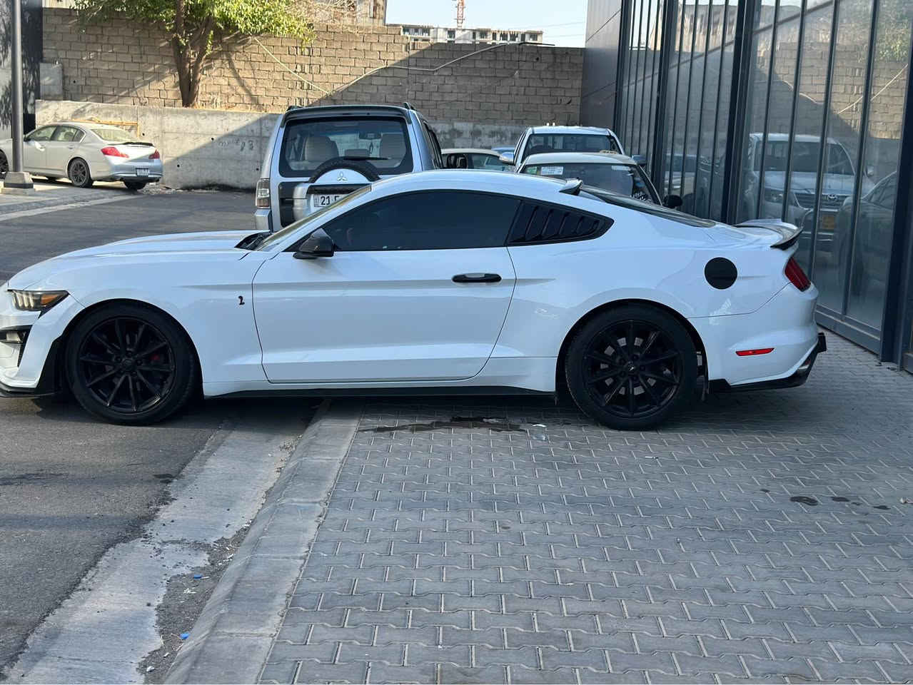 Mustang 2016 eco bost
چوار پستۆن سه‌یاره‌كه‌ زۆر تازه‌یه‌ 
یه‌ك چه‌ملخی بۆیاخه‌ له‌گه‌ڵ بستی بۆنیتی بی ناوگردن بی ئیرباگ 
مه‌كینه‌ی كراوه‌ته‌وه‌ به‌شه‌رت 
سه‌نه‌وی تازه‌یه‌ 
كامل جوانكاری بۆ كراوه‌ 
سعری ١١٦ مه‌عامه‌له
*********** السليمانية, العراق
