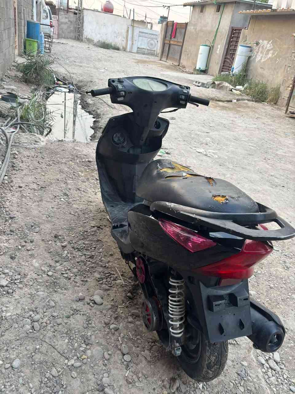 ثعلب • بلادية • نقصها كابريتر