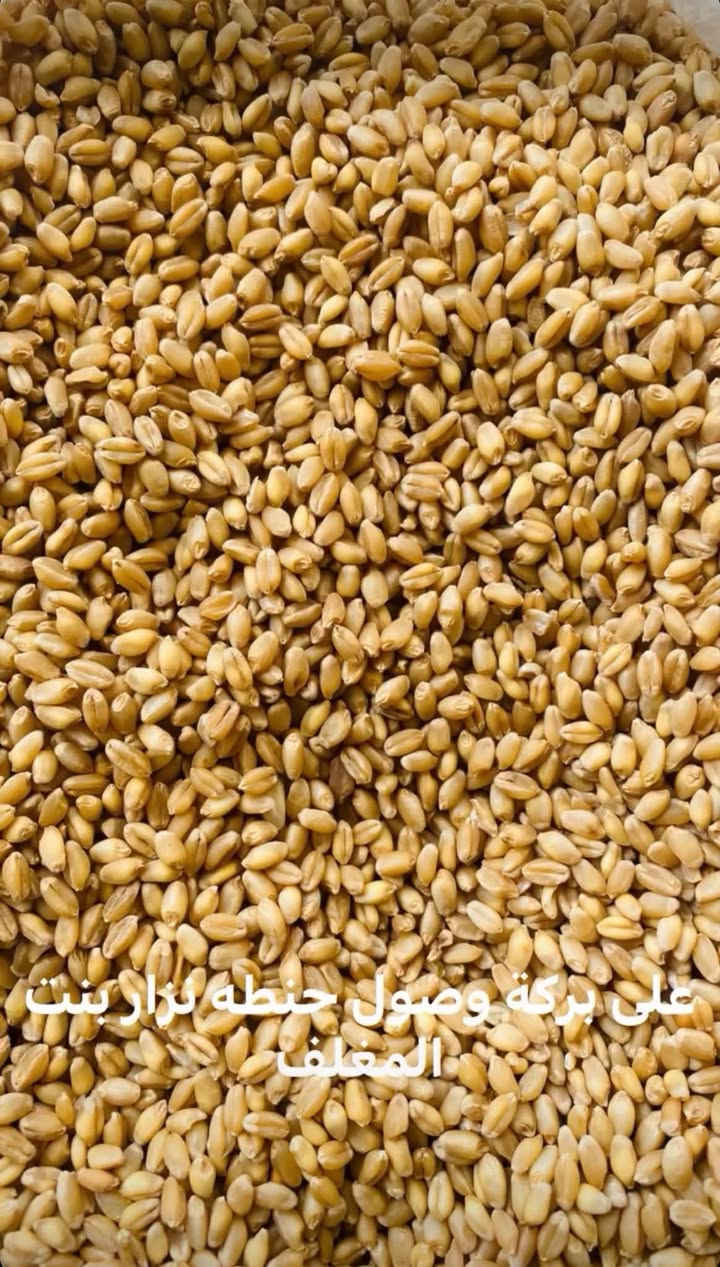 حنطة بنت المغلف • حنطة نزار • العزيزية واسط