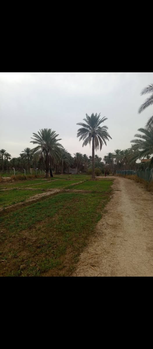 السلام عليكم ارض للبيع 
طابو صرف تحويل مباشر ب اسم المشتري سند ٢٥
المساحه دونم ونص
جميع الخدمات 
الموقع بابل حله شارع ١٠٠
الرابط بزل حجي علي
قريبه ع الشارع العام تبعد ١٠٠متر 
للاستفسار اكثر 
***********
