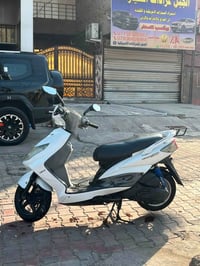 سكنس فحل • نظيف • نوزل كوري