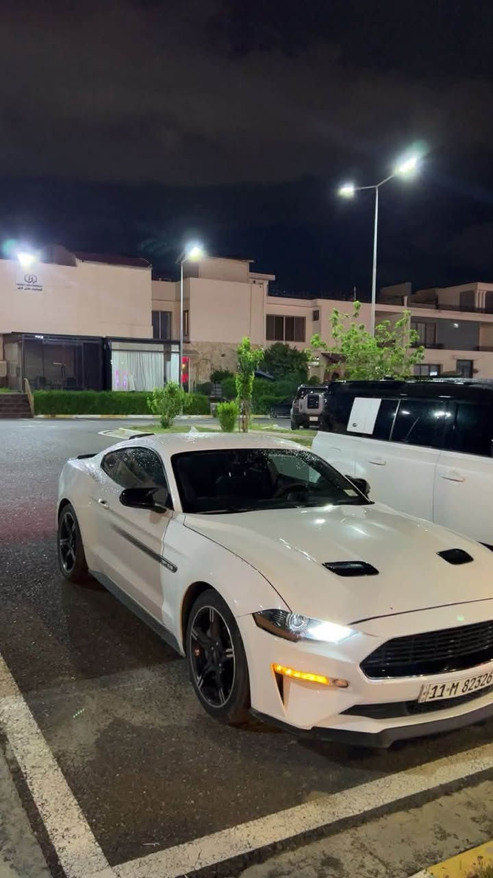 �🔥 للبيع فورد موستنك GT موديل 2022 🔥🚘
▫️ وارد أمريكي 🇺🇸***********
▫️ فل كامل
▫️ مكينة 5.0 V8 — 5000cc 💪
▫️ قير أوتوماتيك
▫️ عليها تزويد من أمريكا 🇺🇸
▫️ اللون أبيض 🤍
▫️ الممشى: 25,000 ميل
▫️ شاشة + بصمة
▫️ السيارة نظيفة ومحافظ عليها 👌

📍 العنوان: كربلاء
🔍 الفحص متاح للجادين
💰 السعر: على السوم

للاستفسار مراسلة خاص �
