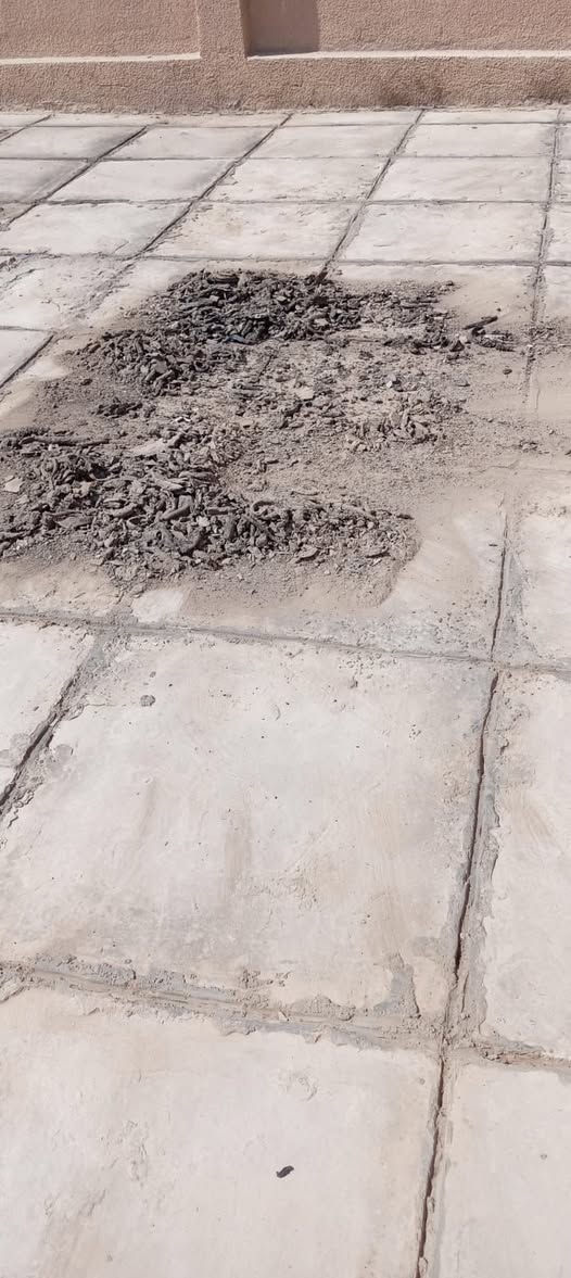 🔥 شغلك يستاهل الأفضل… وإحنا نضمن لك الجودة! 🔥

🔧 جانب من أعمالنا في قلع وإعادة الماستك
نقدّم لكم خدماتنا باحترافية عالية، ودقة في التنفيذ، واهتمام بأدق التفاصيل. 💯

⭐ قلع وإعادة الماستك باحتراف
⭐ تنفيذ متقن وجودة عالية
⭐ خبرة في العمل وحرص على رضا الزبون

🏢 مكتب الرافدين وعراق الخير
📍 تكريت – القادسية – مقابل مدينة ألعاب دريم لاند
📞 ***********

✨ اختيارك الصحيح يبدأ من جودة العمل… اختار مكتب الرافدين وعراق الخير.
