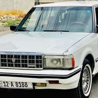 موديل ٨٥ • كير عادي • بدون صبغ