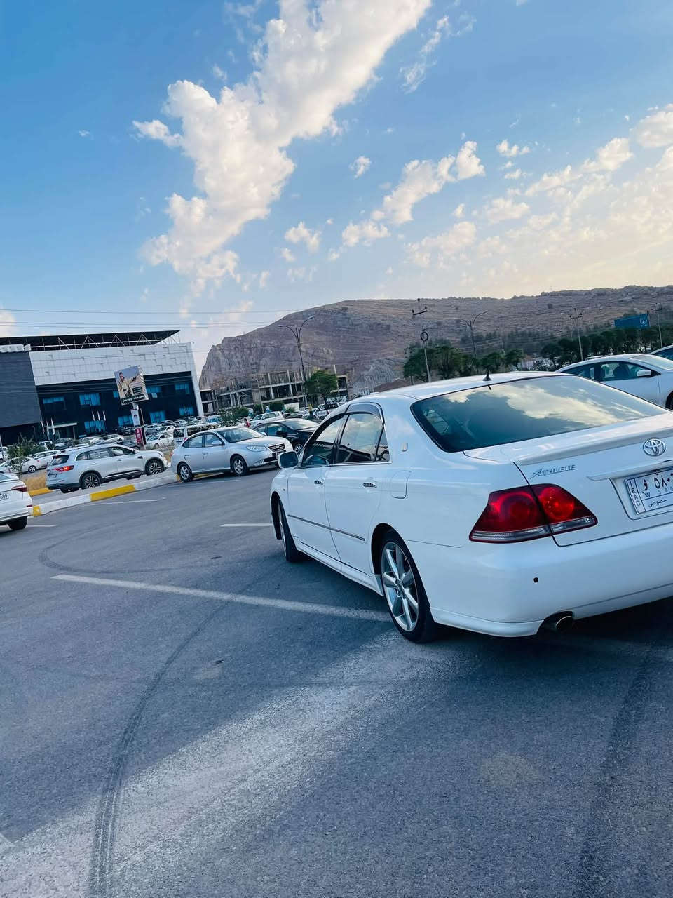 ١٨٢٠٠٠ • جلد • هيتر