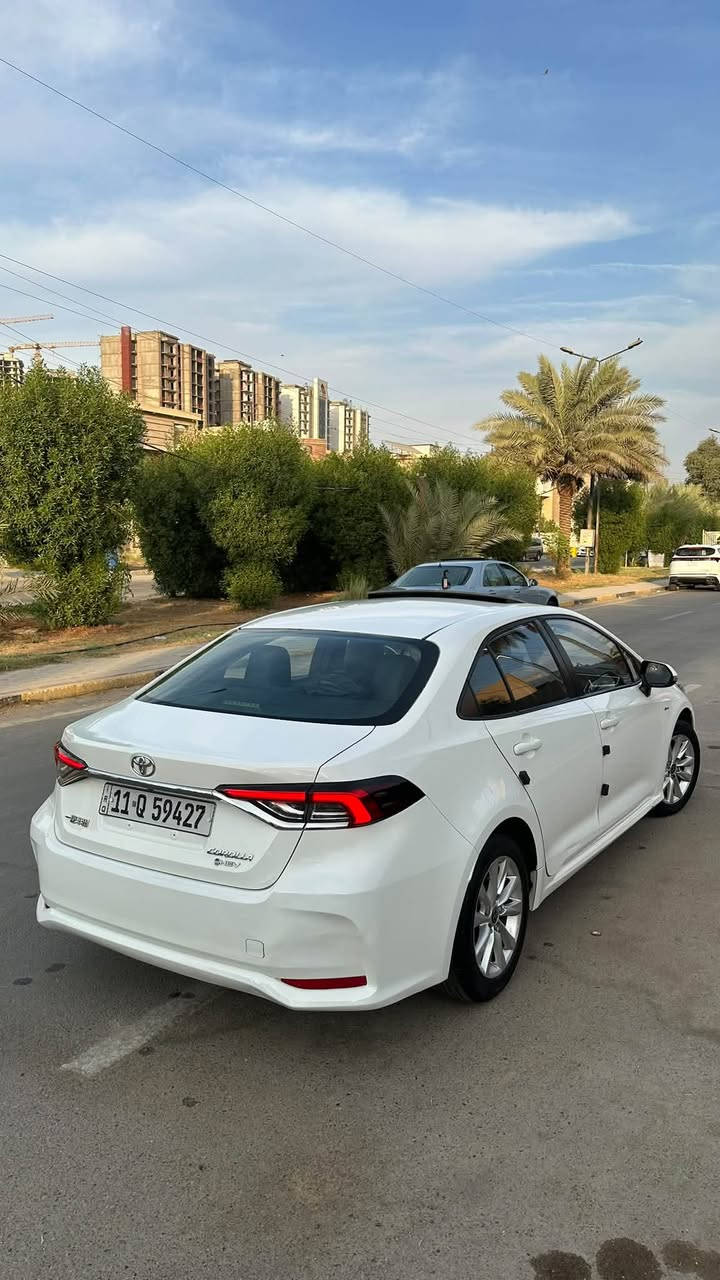 كورلا • ٢٠٢٥ • رقم بغداد