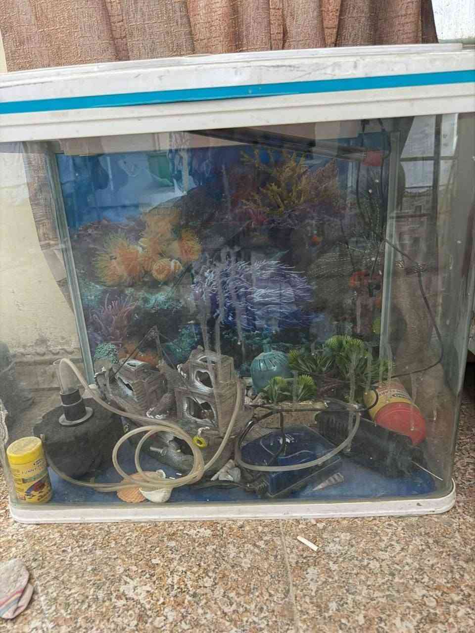 حوض سمك • ٦٠×٥٠ • اكريلك كامل
