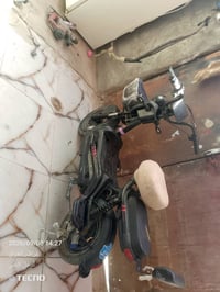 دراجة شحن • حجم ١٤ • ناصريا غراف