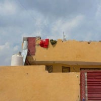 بداية شارع المطار • طابقين • ٤ غرف