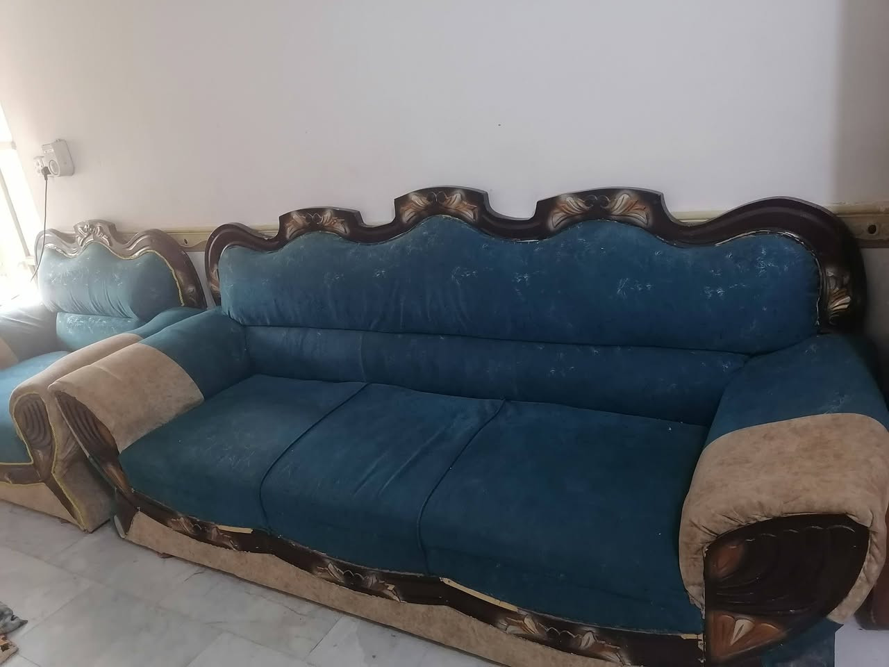 تخم كامل • نظيف • ثقيل