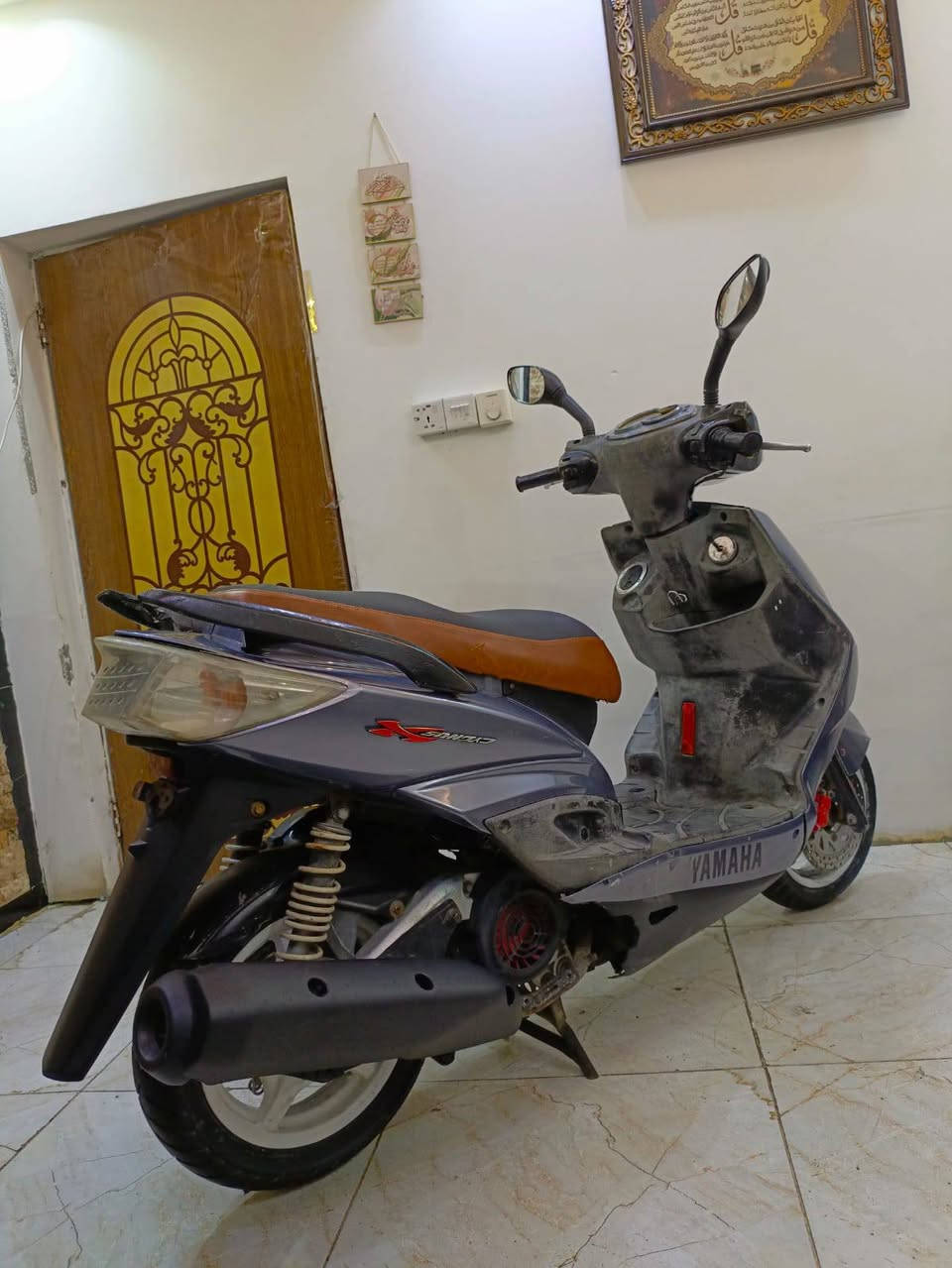 سكنس فحل • كفاله • اوراق