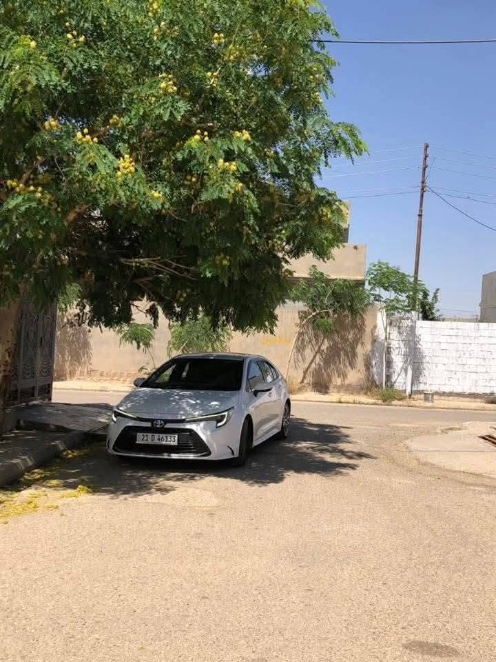 بيع شتلات بسعر مناسب مع التوصيل 
الأكاسيا البيزيا السبحبح السدر  الجاكرندا
للتواصل ***********
السعر 10 آلاف احصل على 3 شتلات اختياري
إذا تأخذ 6 شتلات تأخذ واحدة بلاش
