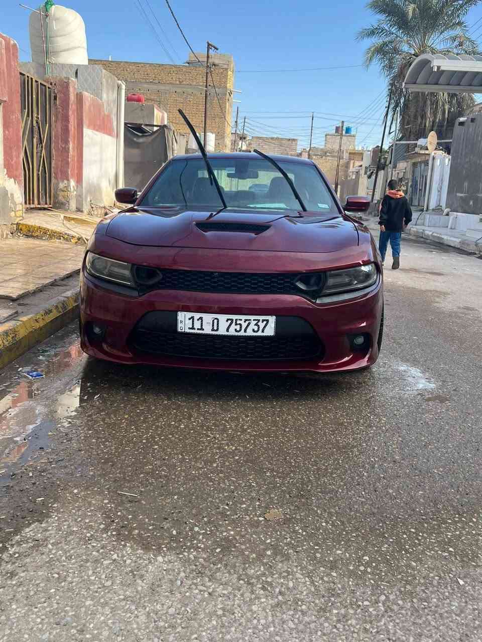 اسكات باك • ٢٠١٩ • رقم بغداد