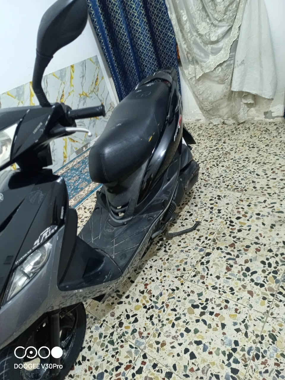 ثعلب • كفالة • ١٧٠٠٠