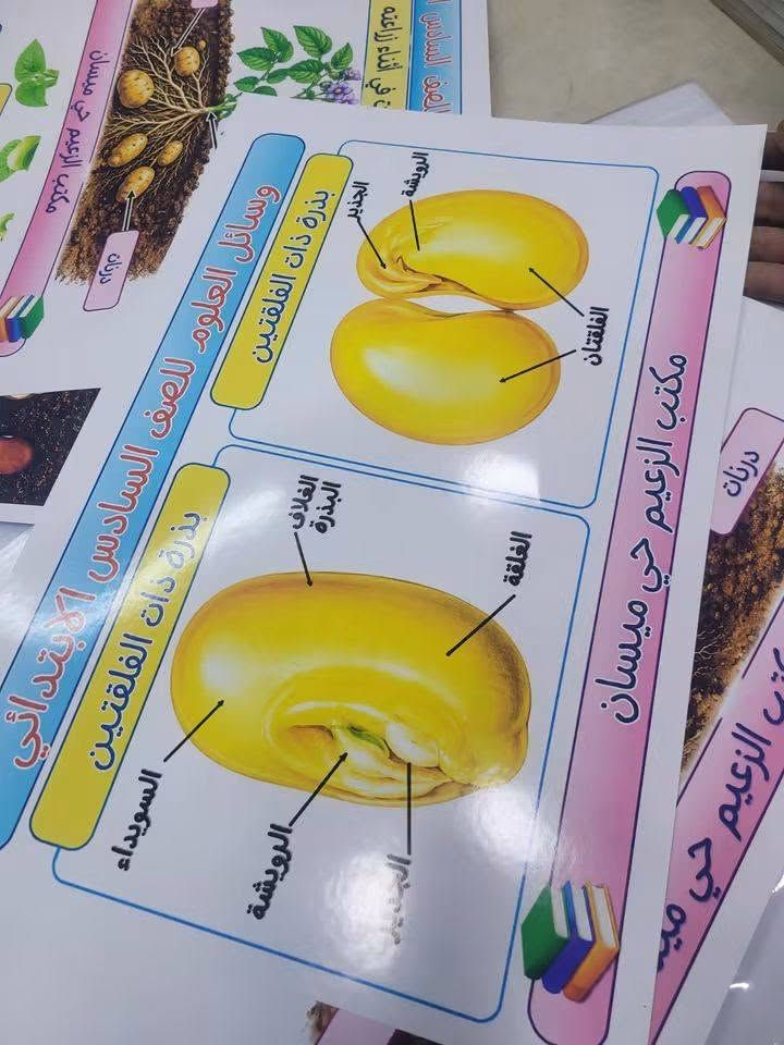 وسائل العلوم سادس • ٦٠ بوستر • حي ميسان