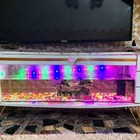 حوض سمك • نضيف • مدينة الصدر