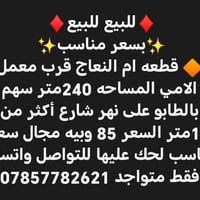 ام النعاج • ٢٤٠م • سهم بالطابو