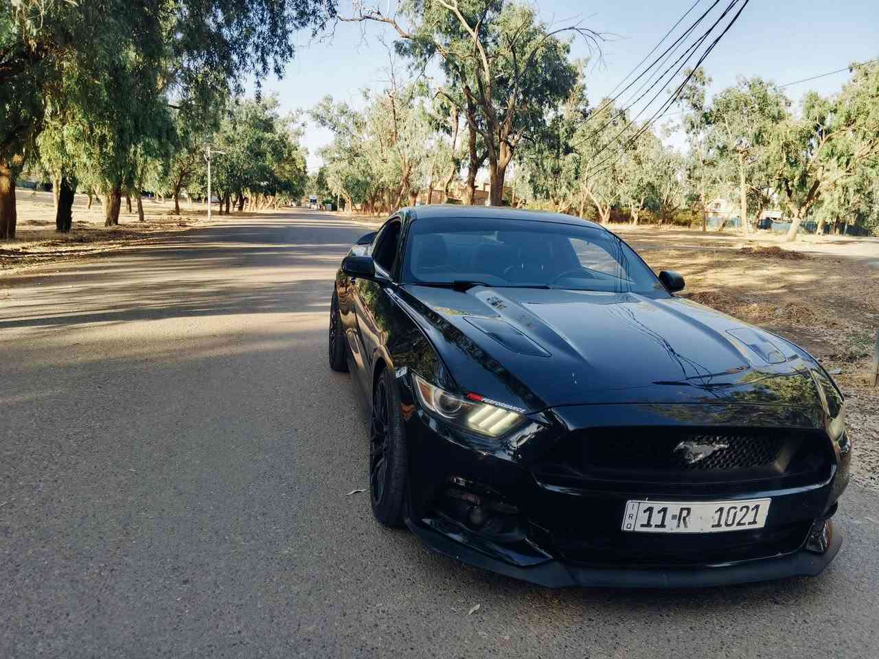 للبيع موستنك جي تي 2016
بسعر مناسب
رقم لوحه مميز 11R 1021
ماشيه 67 km حقيقي
كير عادي

كلج مكلاود

شوته روش

دبه مي رياضي

راديتر مشيموتو دبل مراوح

بلكات رياضي

ثلاجه 2022

غرفه 2022

فجوج بريمبو

لويات امامي ايباخ رياضي

هيدرز امريكان ريسنك

دبل اكس بايب

اكزوز فورتك

اكزوز ريمونت

تبات كورسا

ستيرن كاربون فايبر

دشبول تغطيس كاربون فايبر

عداد تراك بكج بالدشبول

مضخم صوت

عدادات السرعه متغير اللون

الحادث جاملغين والقمارة بي تعديل بارد
*********** واتس اب
